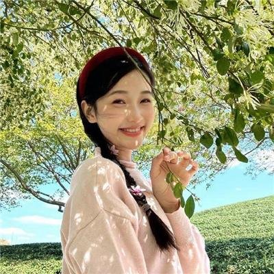 校园规则 在线观看