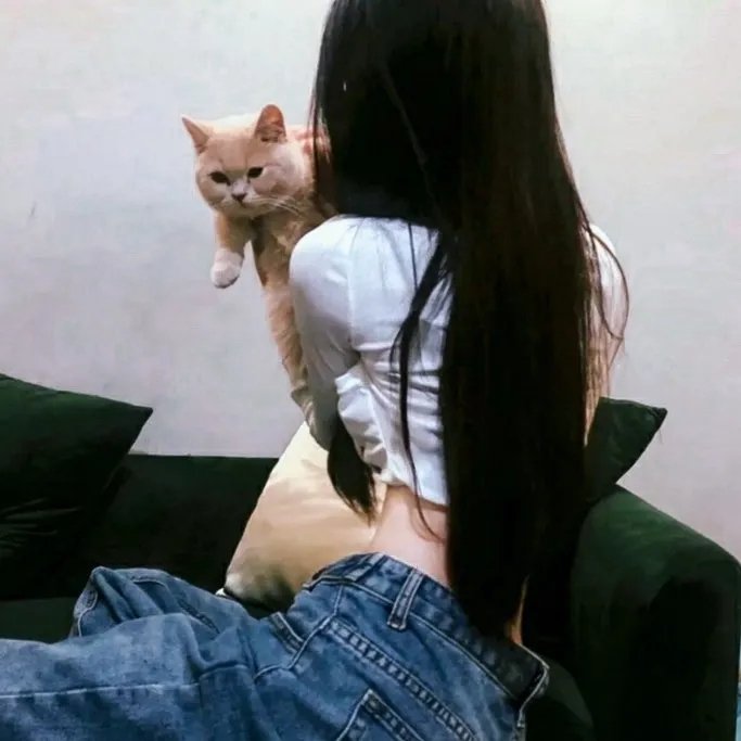 欧洲快车...小姐不见了 在线观看